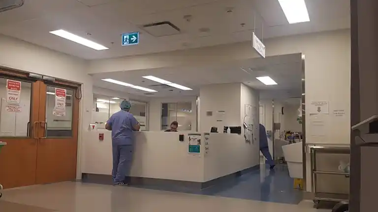 Credit Valley Hospital COVID 19 Precautions Credit Valley Hospital COVID-19 Precautions