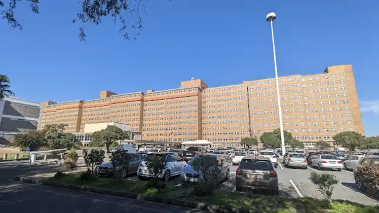 Tygerberg Hospital Visiting Hours 2026 Tygerberg Hospital Visiting Hours 2026